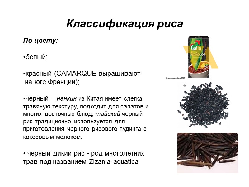 Классификация риса По цвету:  белый;  красный (CAMARQUE выращивают  на юге Франции);